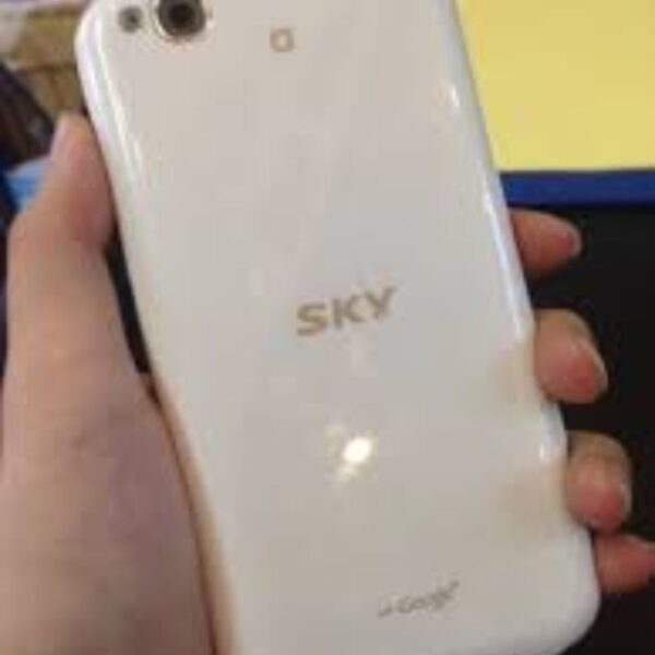 lưng silicon